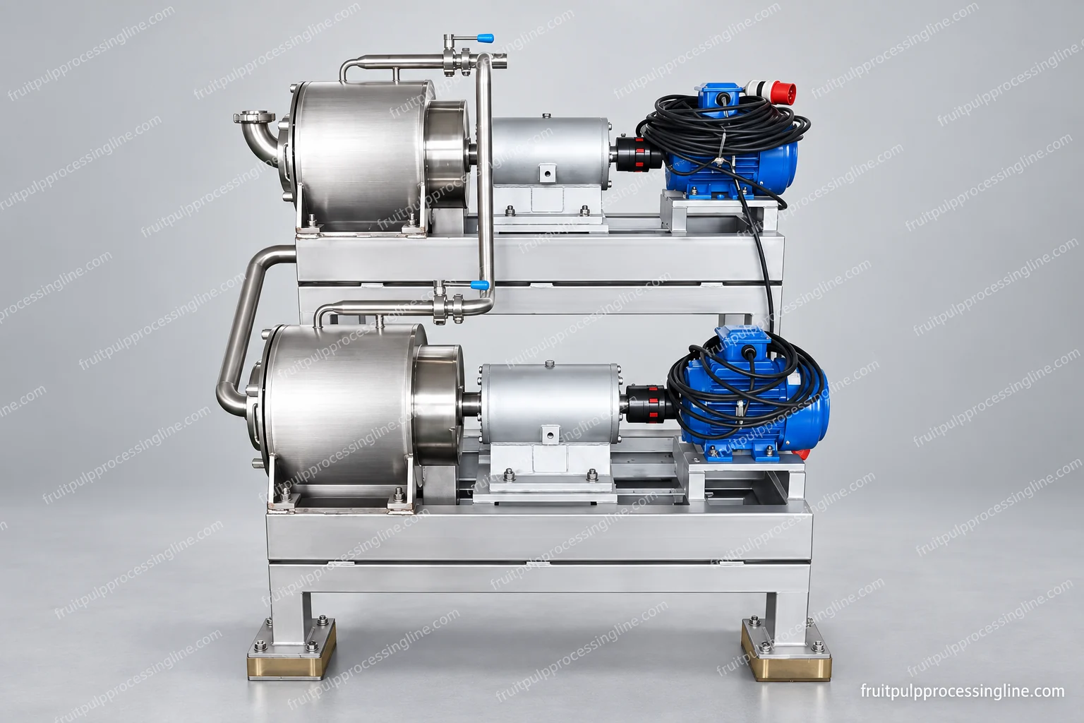 Two-stage fruit pulper and refiner — equipment configuration view.